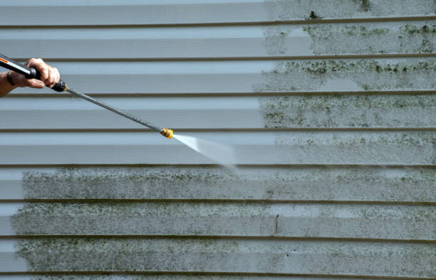 Best Driveway Pressure Washing  in Trinity, AL