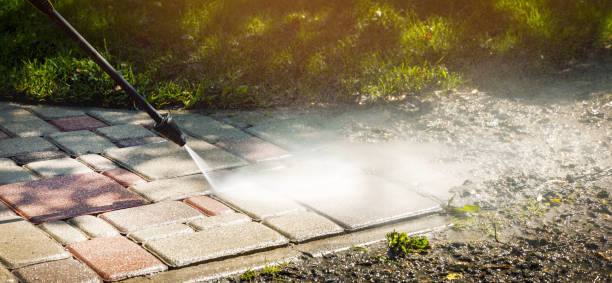 Best Fleet Vehicle Washing  in Trinity, AL