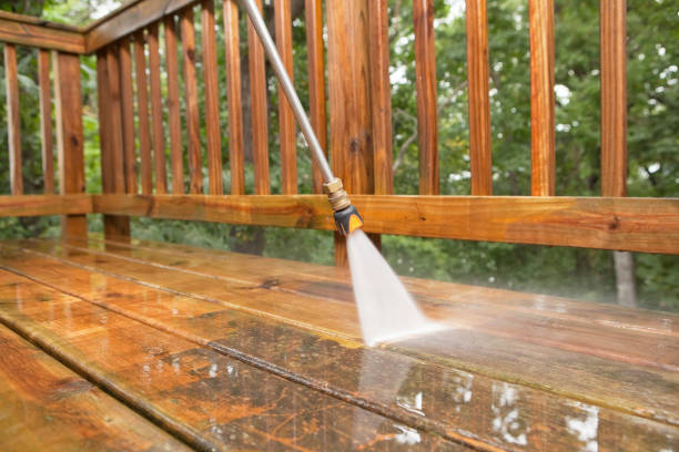 Best Roof Washing  in Trinity, AL